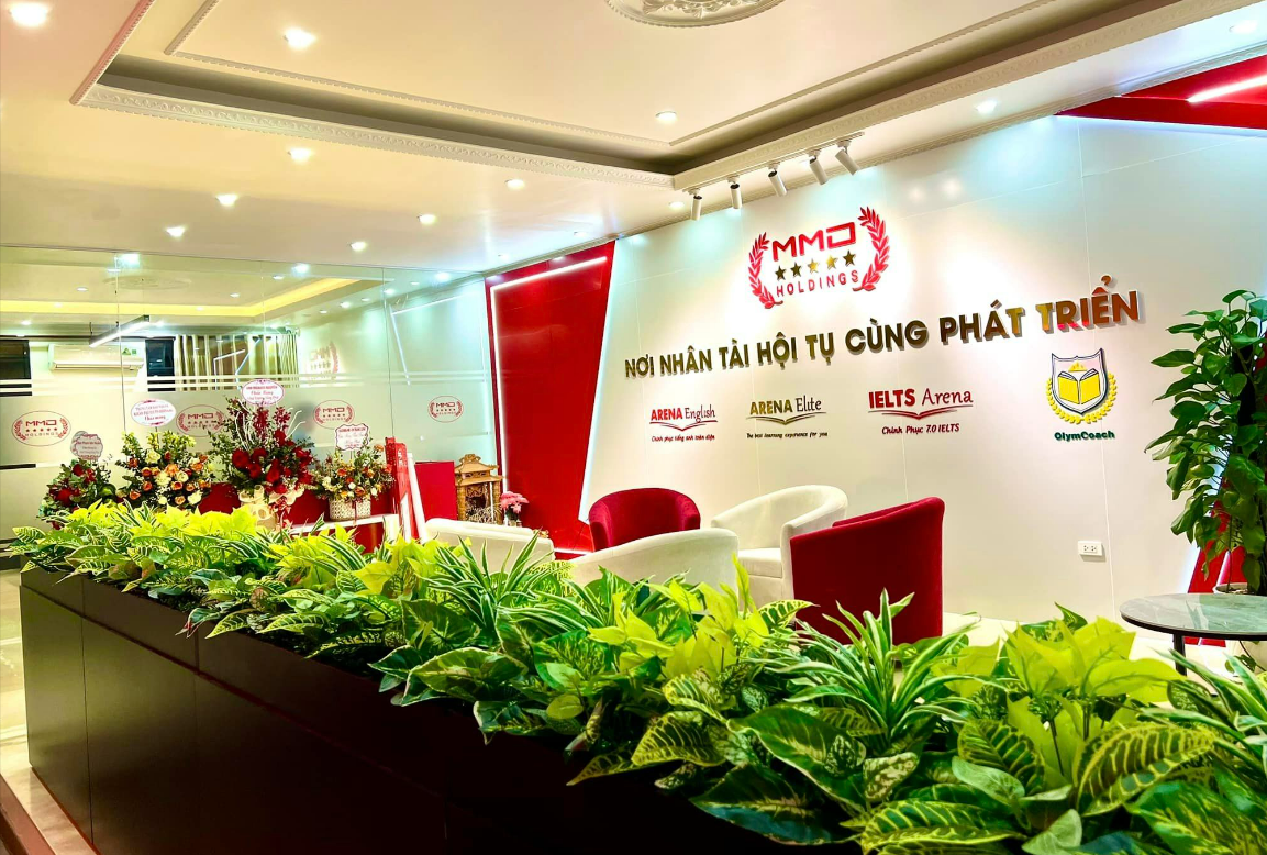 lĩnh vực hoạt động